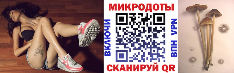 Псилоцибиновые грибы Magic Shrooms  blacksprut онион  Апатиты 